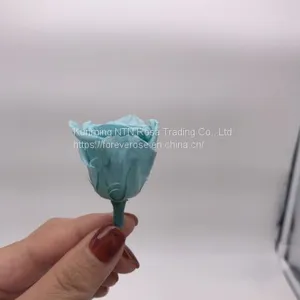 Factory Supply Best Selling Red Preserved Roses at Cheapest Price thumbnail-4