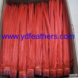 High Quality Ringneck Tail Feather thumbnail-2
