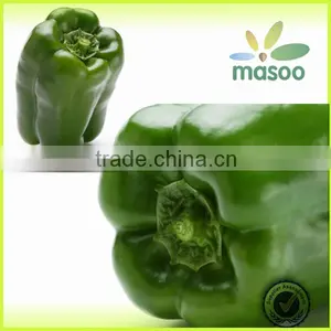Fresh Green Pepper Export Price thumbnail-1