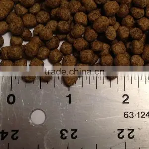 New Product Floating Fish Food Pellet Production Line thumbnail-6
