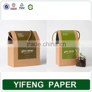 Personalized Cheap Custom Printed Biodegradable Paper Bag thumbnail-3