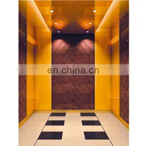 Residential Small Elevator Passenger Lift for 2 Person, Office Building Used Passenger Elevator thumbnail-5