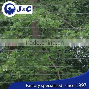 Customize Size Anti Bird Protection Netting Use for Vineyard, Anti Bird Protection Net,PE Agricultural Bird Netting thumbnail-3