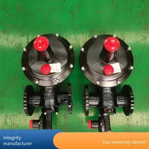 Cng Pressure Reduction Skid Gas Pressure Regulating Box Equipment, Lng Supercharger Pressure Regulating and Metering Cabinet, Hongyi thumbnail-2