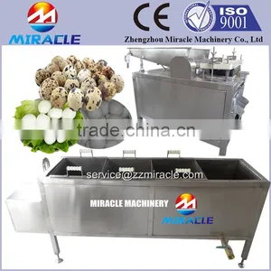Quail Egg Process Machine From Quail Egg Boiler&sheller&peeler Production Plant thumbnail-3