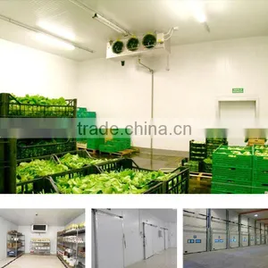 Supermarket Store Cold Room for Food in South America thumbnail-1