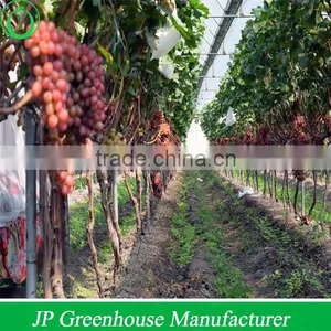 Hot Dipped Galvanized Professional Greenhouses Used thumbnail-1