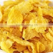 Full Automatic Corn Flakes Food Production Line thumbnail-2