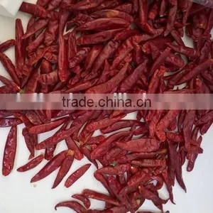 Dry Red Chili With High Quality thumbnail-2