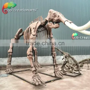 Fiberglass Animal Skeleton Model of Mammoth thumbnail-1