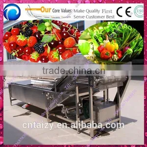 Multifunctional Vegetable Bubble Washing Machine thumbnail-1