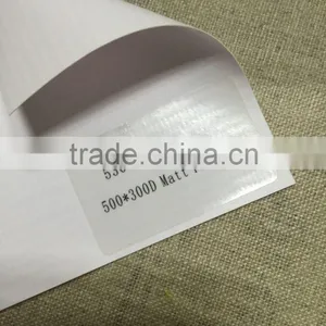 500*300D, 440g Matt Banner, Frontlit Matt Banner, Hot Laminated Matt Flex Banner thumbnail-2