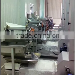 Large Output Z Type Bucket Elevator Suitable to Food Industry thumbnail-2