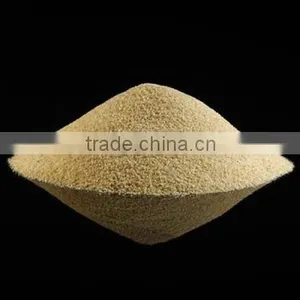 Dried Garlic Granule thumbnail-4