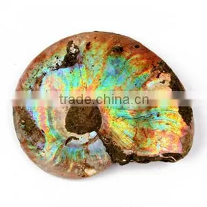 Fossil Specimens, Rainbow Ammonite ( Ammolite ) thumbnail-1