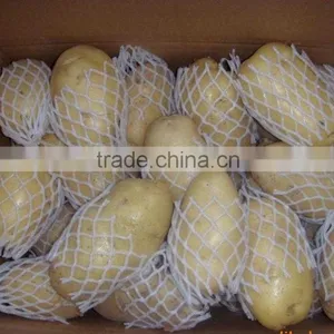 New Crop Fresh Shandong Potato for Sale thumbnail-3