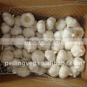 Chinese Pure White Garlic From Shouguang thumbnail-1