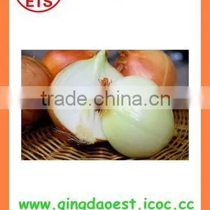 Export Best Quality Fresh Red Yellow White Onion thumbnail-6