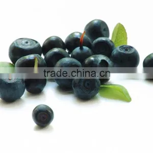 Natural High Quality Black Currant P.E./Black Currant Extract/Black Currant Extract Powder/Black Currant Powder thumbnail-3
