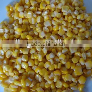 3kg Canned Sweet Kernel Corn thumbnail-1