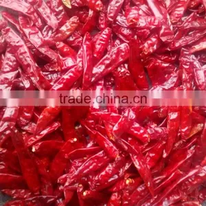 DRIED CHILLI thumbnail-4