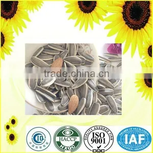 High Quality Hulled Sunflower Seeds Specification thumbnail-3