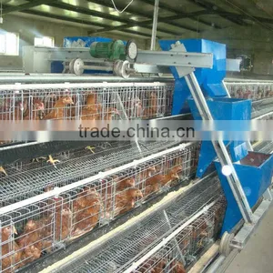 Automatic Feeding Machine in Using for Zambia thumbnail-1