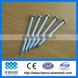 Concrete Steel Nail/nail thumbnail-1