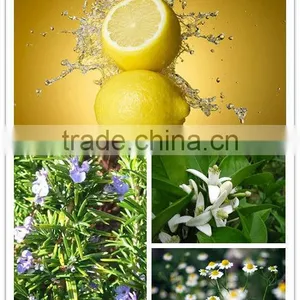 Best Quality Herb Extraction Equipment for Sale thumbnail-3