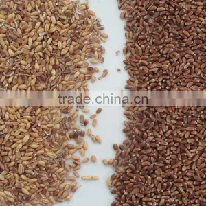 High Capacity CCD Wheat Color Sorter With Resort Configuration thumbnail-3