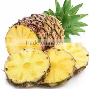 Pineapple Microwave Vacuum Dryer thumbnail-5