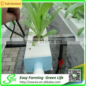 Hot Sale Greenhouse Hydroponic Culture Tray/system for Vegetables thumbnail-1