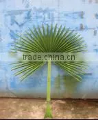SJ0701205 High Quality Fan Plam Leave/Chinese Plastic Palm Fan Tree Leaf thumbnail-3