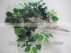 Banyan Leaves. Artificial Banyan Leaves. Ficus Tree Plants thumbnail-1