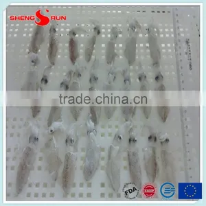 BQF Frozen Baby Loligo Squid thumbnail-6