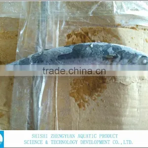Best Price For Canned Frozen Mackerel Fish thumbnail-4