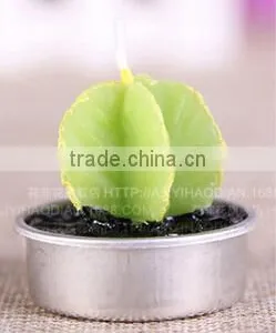 Cactus and Grape Plant Birthday Scented Candle thumbnail-3