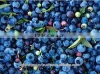 Anthocyanin Colors thumbnail-1