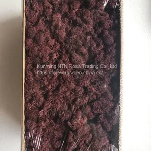 Premium Quality 100% Natural Moss Wreath Wholesale thumbnail-1