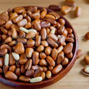 Pine Nut Kernel Drying Machine thumbnail-4