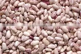 Offer Red Speckled Kidney White Beans Black Beans thumbnail-4