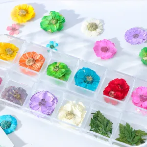 Daisy Camellia Dry Flower Dried Flower Acrylic Nails For Diy Nails Design thumbnail-2