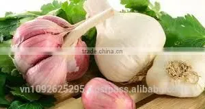 FRESH GARLIC thumbnail-2