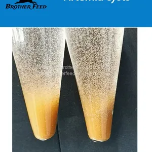 China Supplier Artemia Cysts BBS Brine Shrimp Eggs Bohai Bay Eggs 100% Pure Natural Fish Feed thumbnail-1