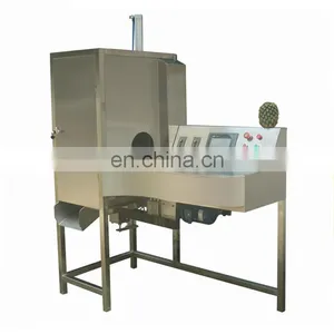 Shanghai Pineapple Peeling Machine thumbnail-1