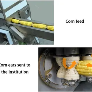 Maize Thresher Sweet Corn Threshing Machine Fresh Corn Sheller thumbnail-4