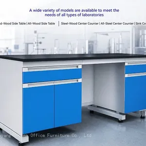 Custom Lab Bench Manufacturer — OEM Steel-Wood Workbenches With CE Certificate thumbnail-5