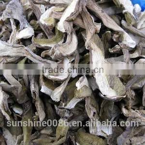 Esculent Wild Dried Slice Boletus Mushroom thumbnail-6