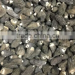 Price of Black Morel Mushroom thumbnail-2
