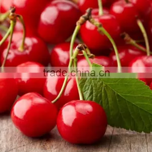 Cherry Kernel Oil thumbnail-1
